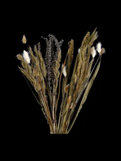 Blandede tørrede blomster