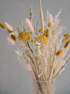 Blandede tørrede blomster