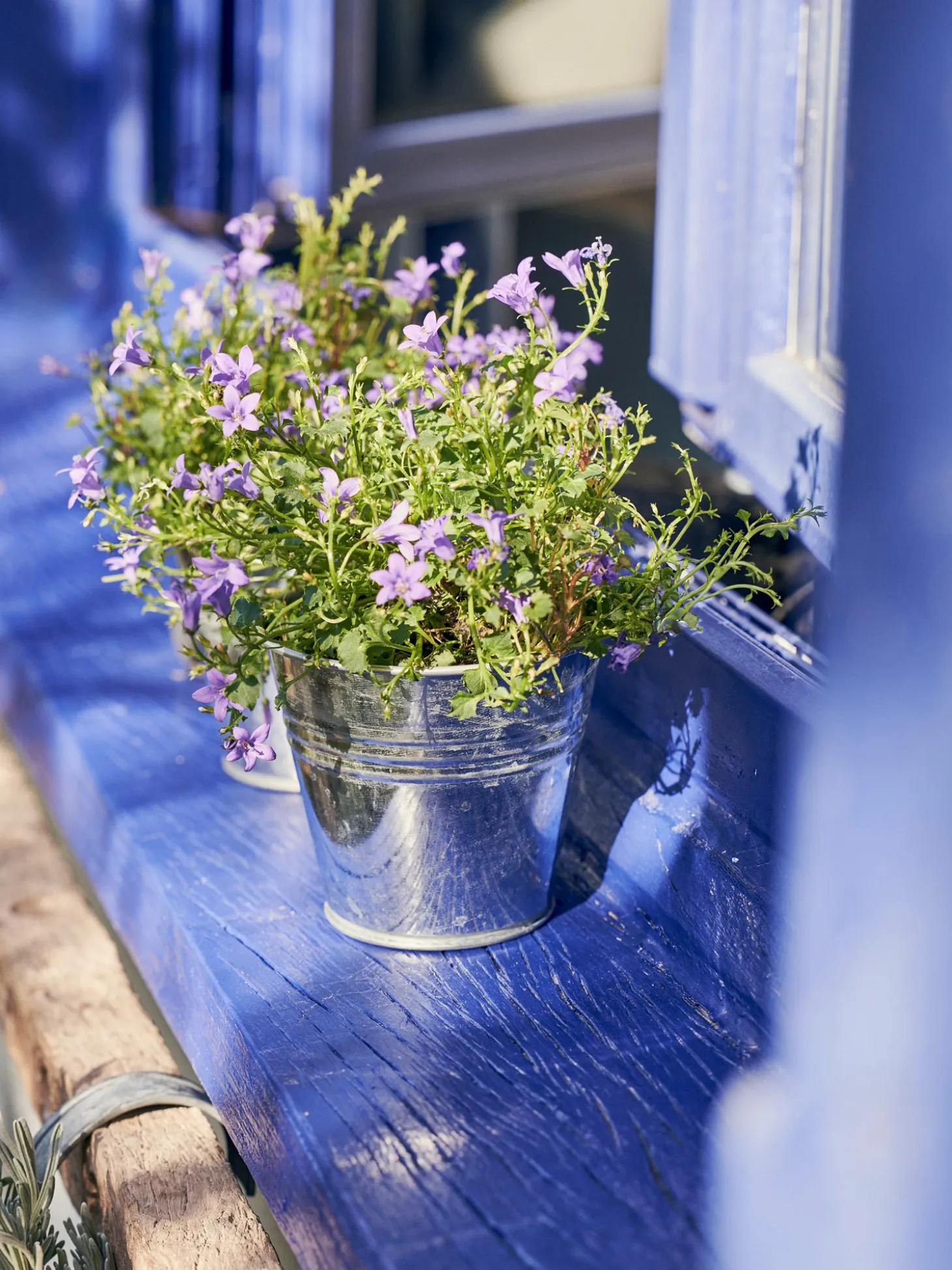 Blomsterpotte