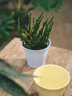 Blomsterpotte