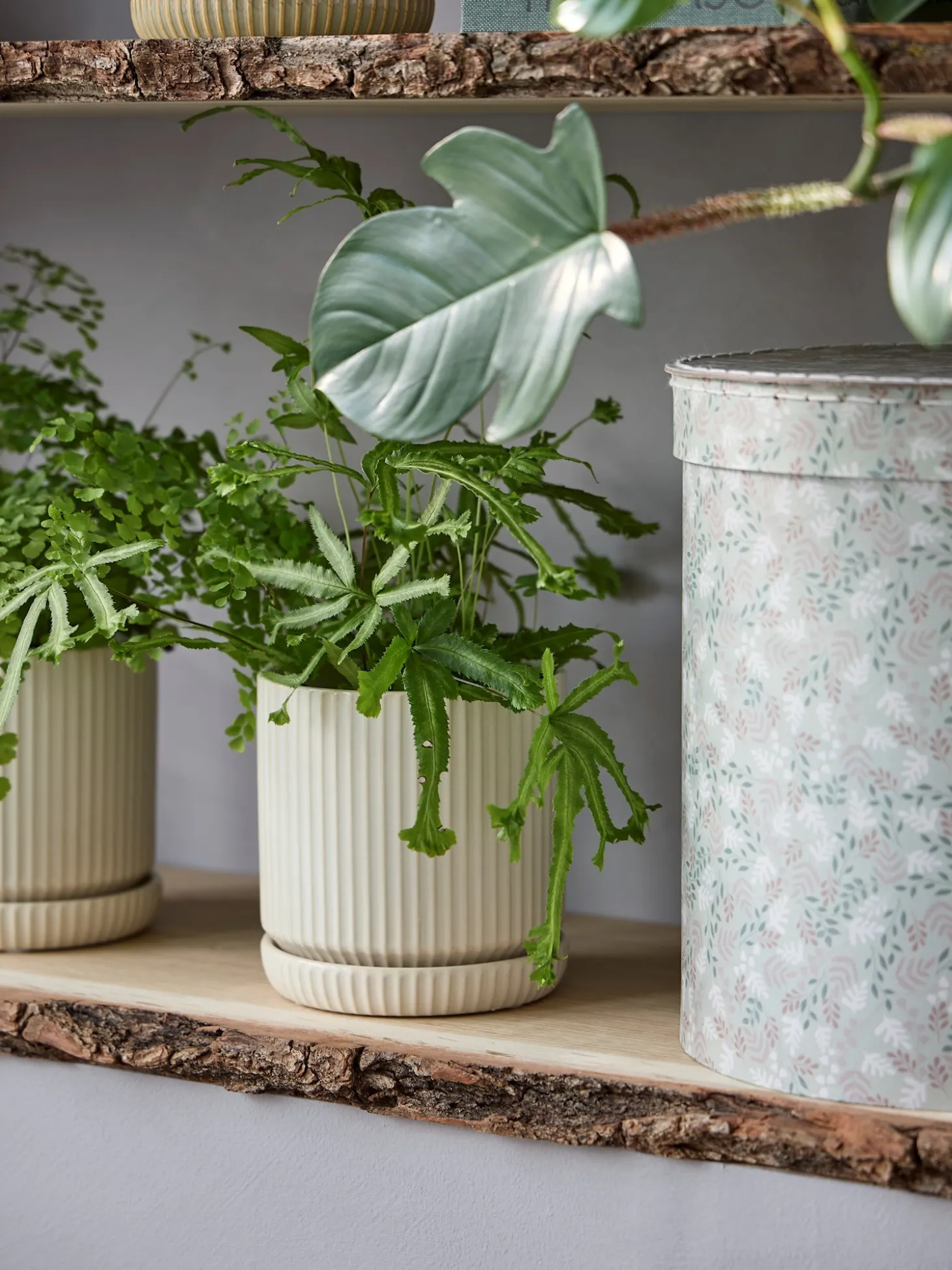 Blomsterpotte med underskål