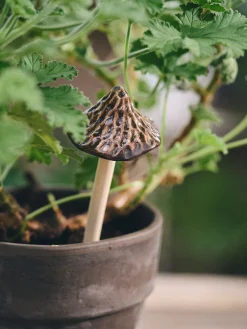 Deko-svamp til planter