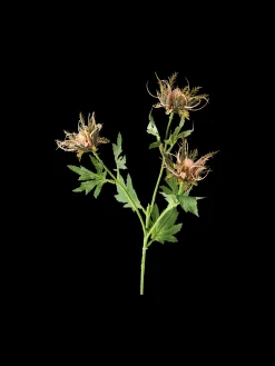 Kunstig tidsel