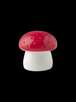 LED-svamp