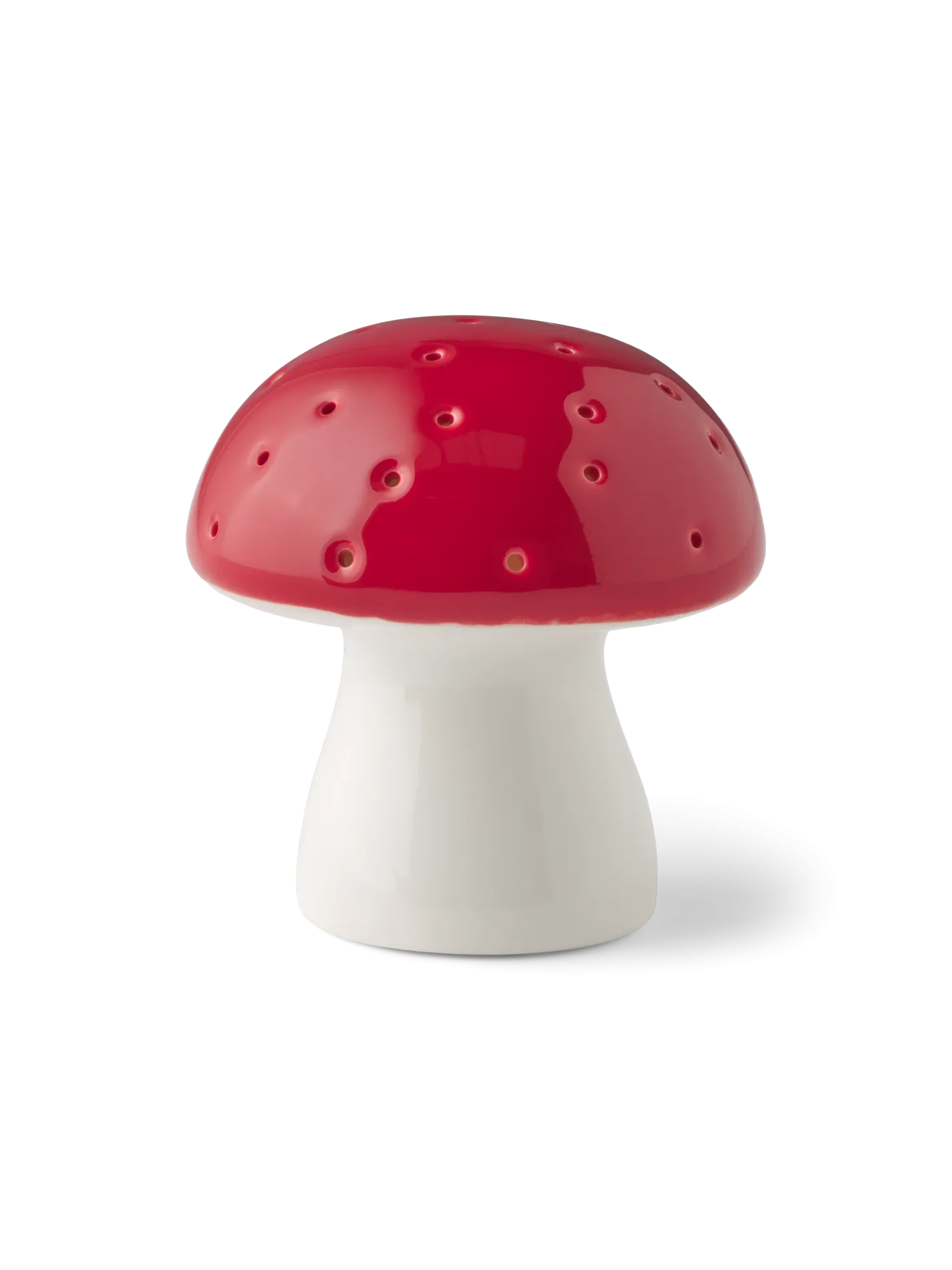 LED-svamp
