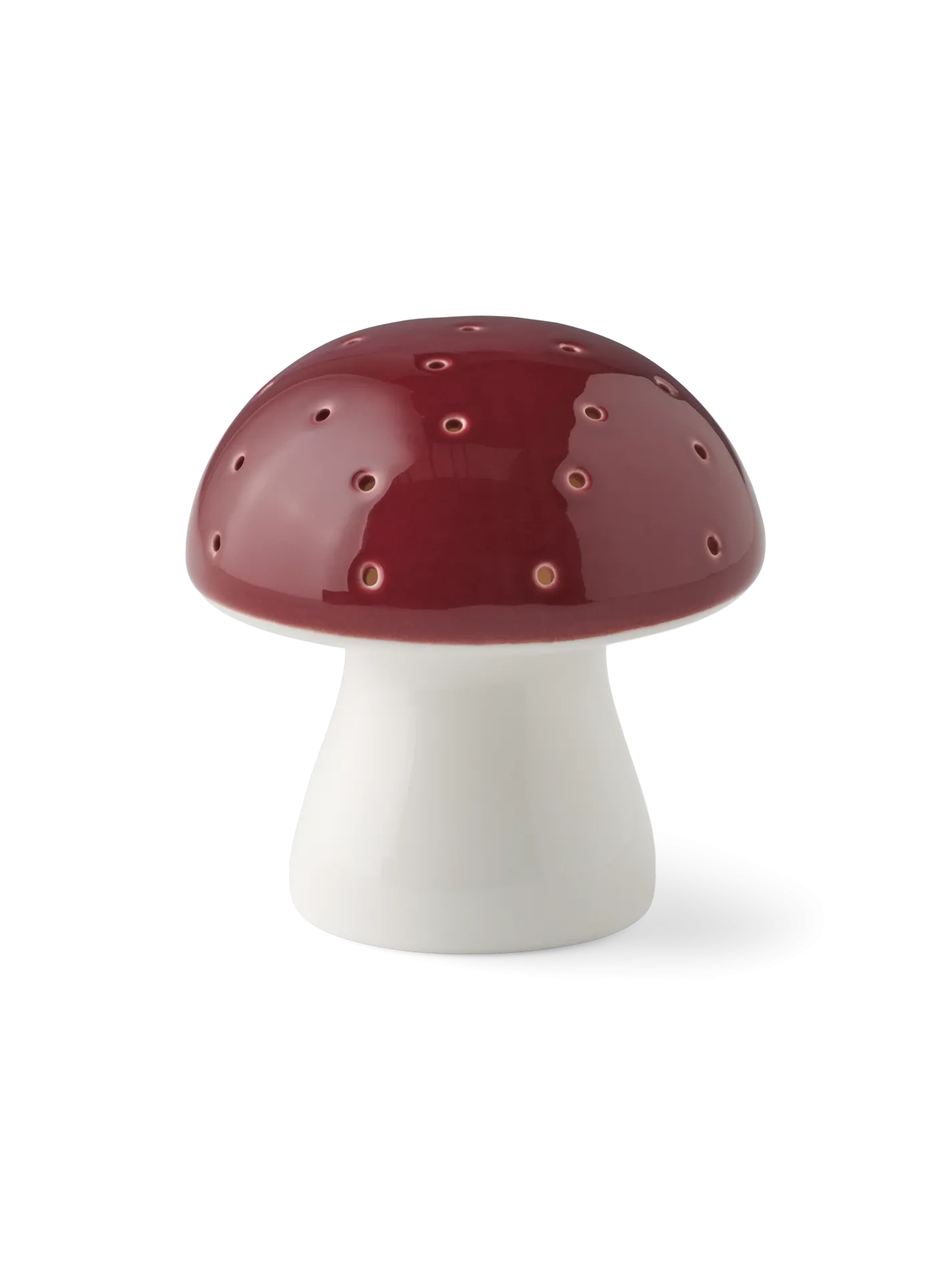 LED-svamp