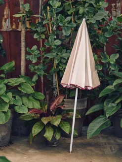 Parasol