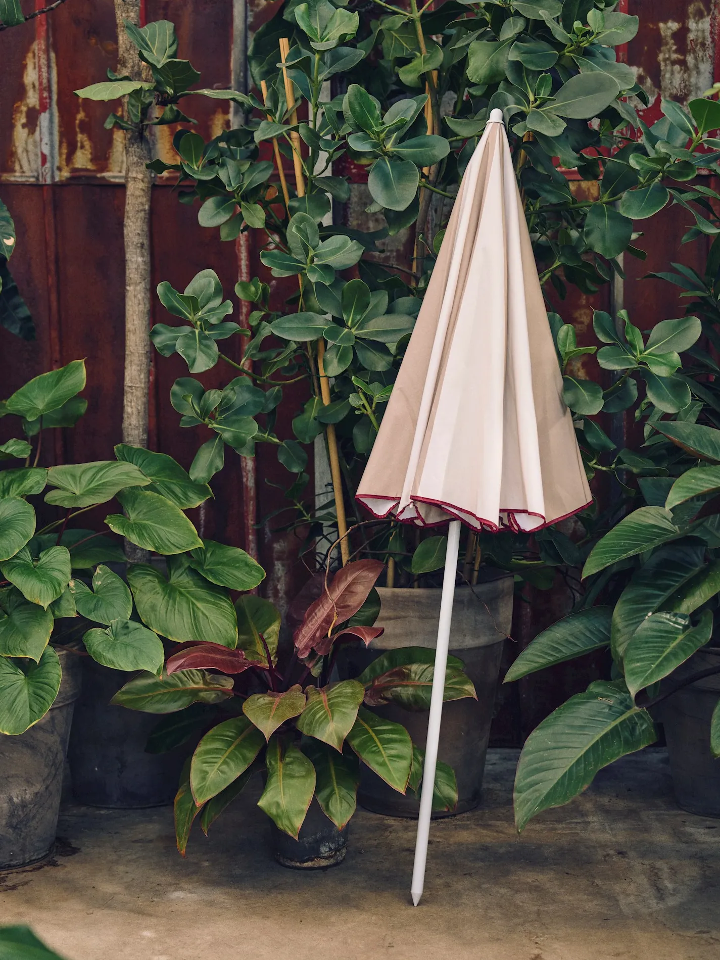 Parasol