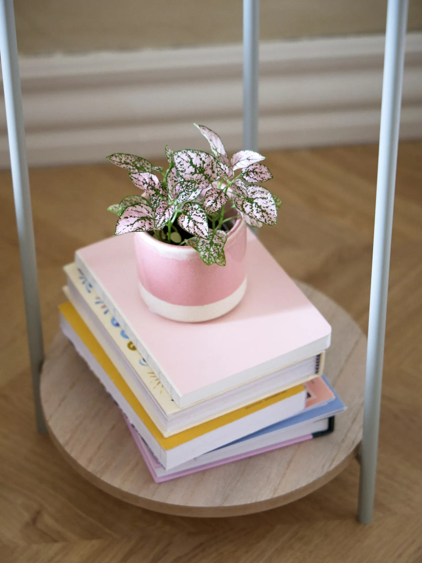 Planteopsats