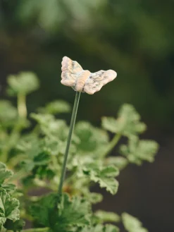 Plantepind sommerfugl