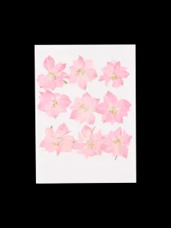 Tørrede blomster