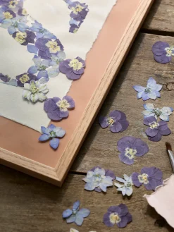Tørrede blomster