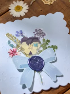 Tørrede blomsterhoveder
