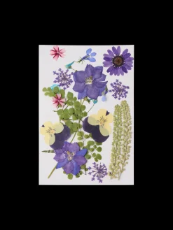 Tørrede blomsterhoveder
