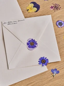 Tørrede blomsterhoveder