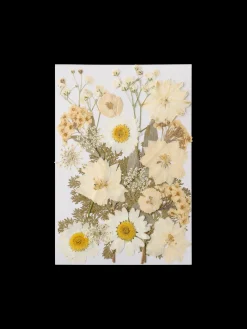 Tørrede blomsterhoveder